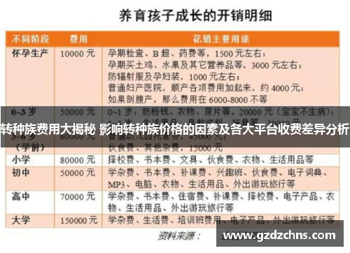 转种族费用大揭秘 影响转种族价格的因素及各大平台收费差异分析